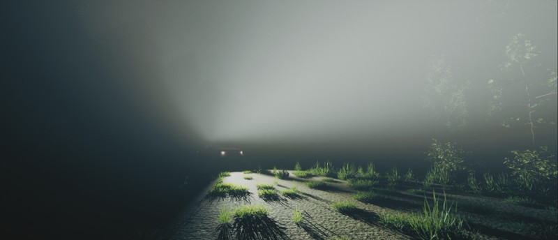 Within screenshot