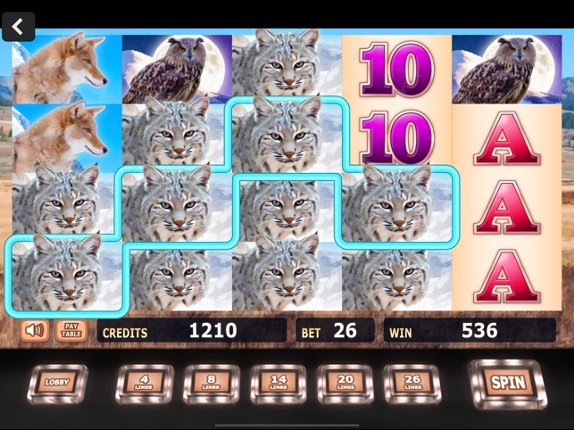 Fun Casino Slots screenshot