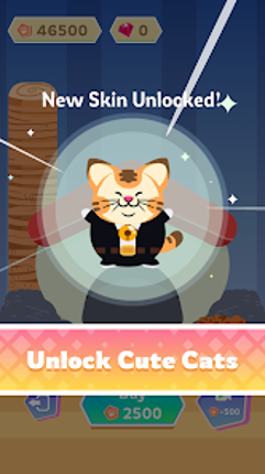 Acrobatic Cat Image