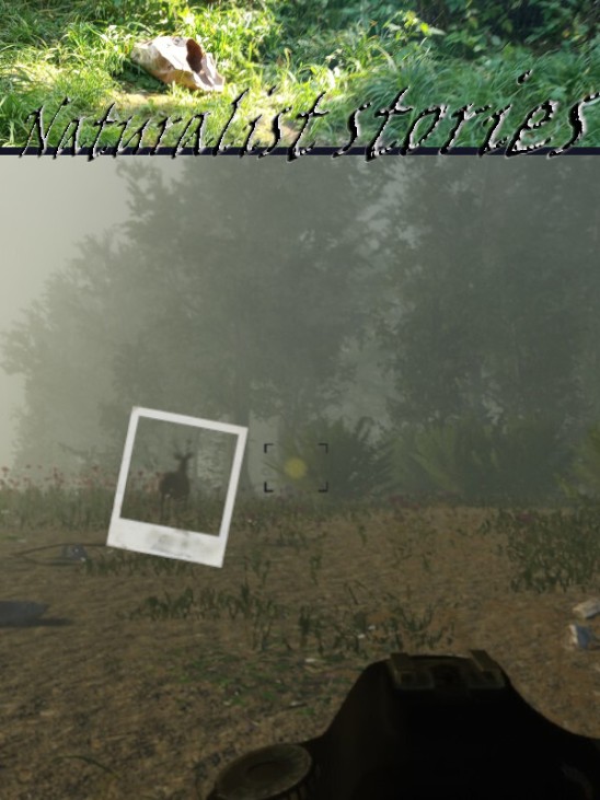 Games like Naturalist Stories