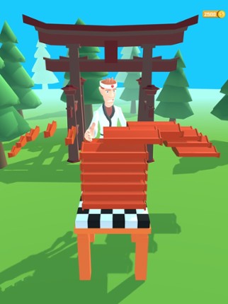 Karate Boy 3D screenshot