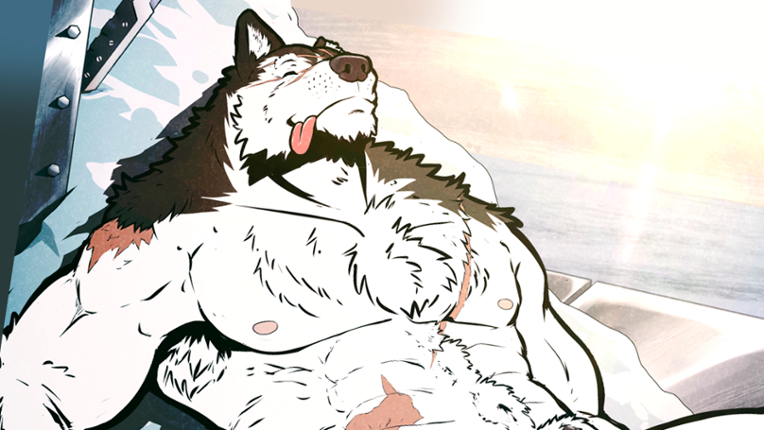 Shelter Image