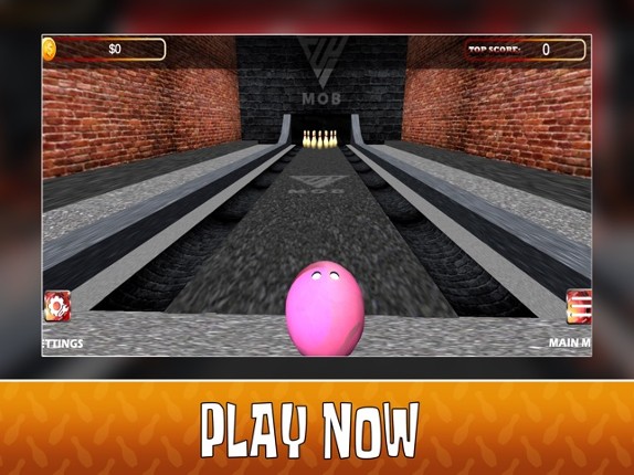 Elite Bowling Experience Image