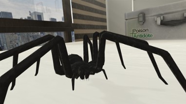 Arachnophobia Image