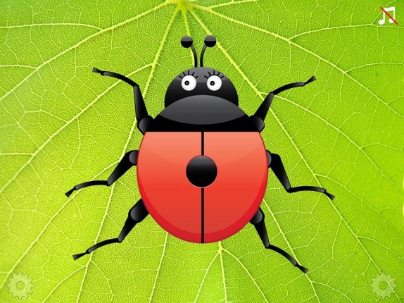 Ladybug Count Image