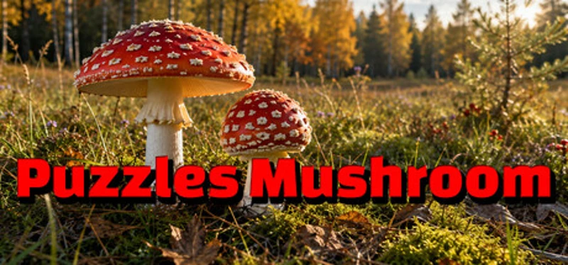 Puzzles Mushroom Image