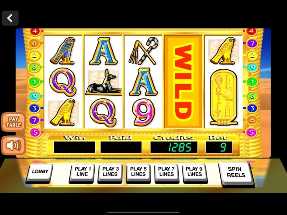 Fun Casino Slots screenshot