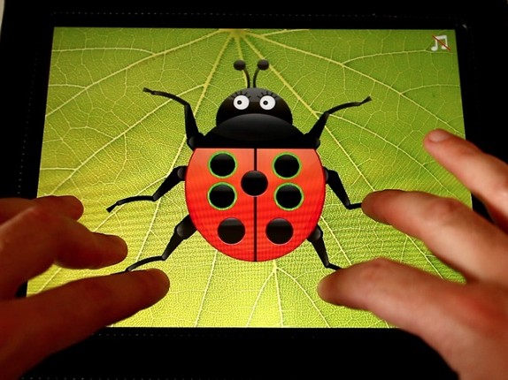 Ladybug Count Image