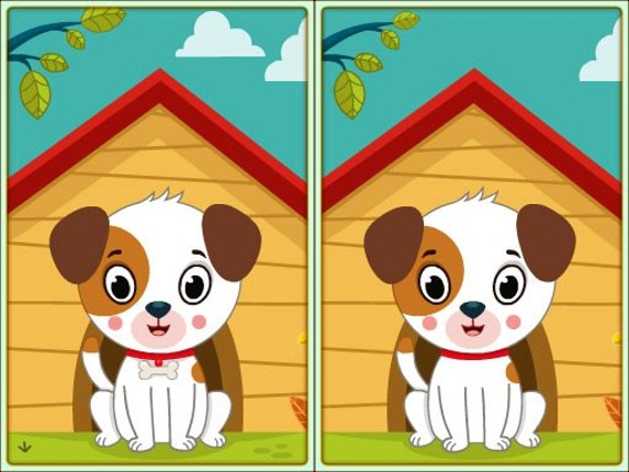 Spot 5 Differences Game Cover