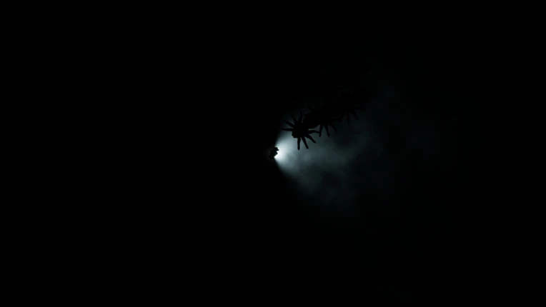 BULBIT Image