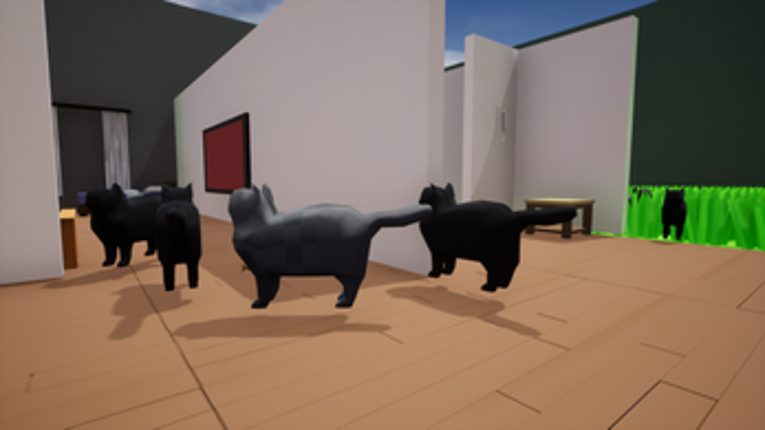 Feline Frenzy Image