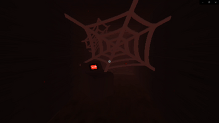 Arachnoid Image
