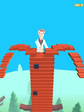 Karate Boy 3D screenshot
