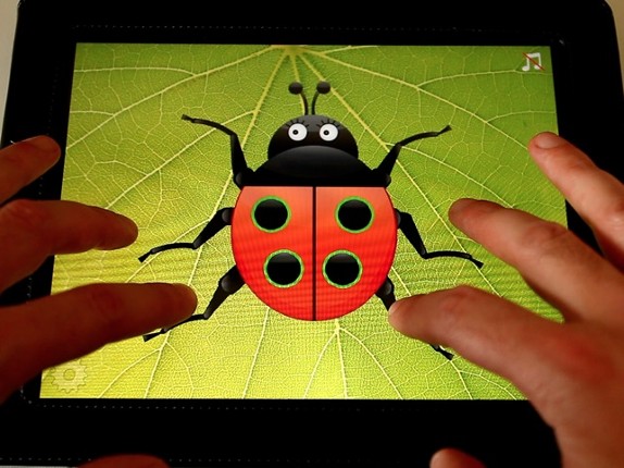 Ladybug Count screenshot
