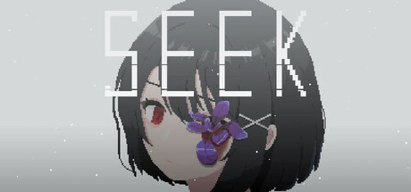 Seek Image