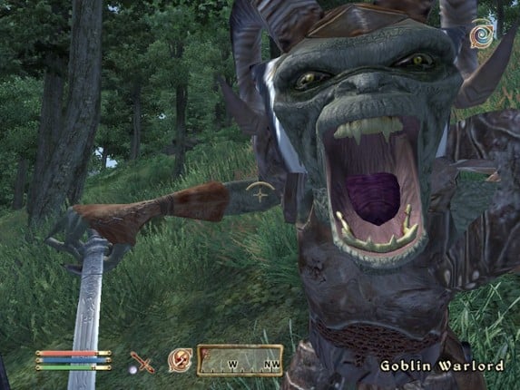 The Elder Scrolls IV: Oblivion 5th Anniversary Edition Image