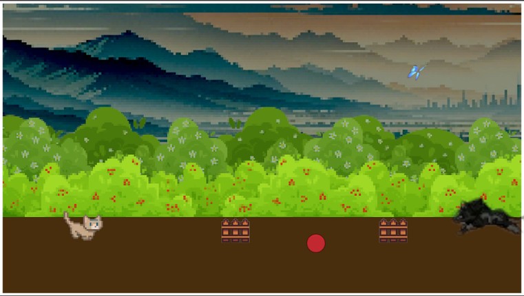 Cat & Butterfly Image