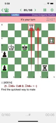 Chess Endgame Studies Image