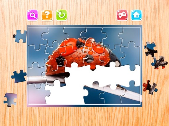 Nature Flowers and Bug Jigsaw Puzzle for Adults screenshot