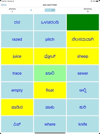 PickAPair Kannada - English screenshot