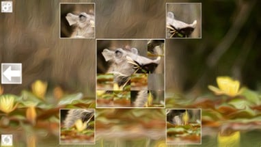 Puzzle Art: Artiodactyls Image