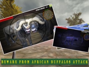 Safari Animal Sniper Hunting : Shooter Survival Image