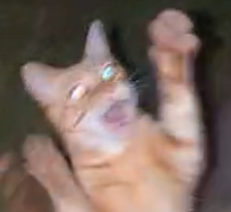 1% Image
