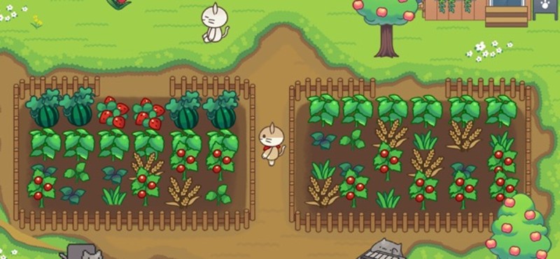 Cat Forest - Healing Camp screenshot