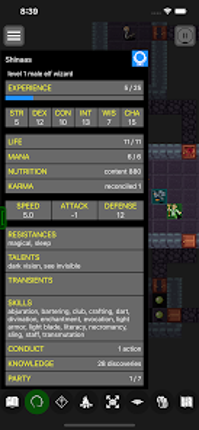 Pathos: Nethack Codex screenshot