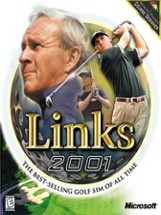 Links 2001 Image