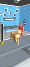 Pet Clinic 3D Image