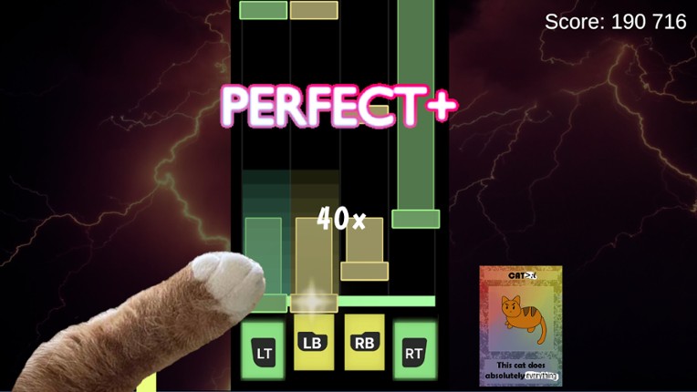 Tempo Tabbies Image