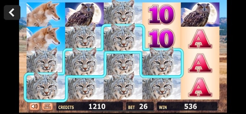 Fun Casino Slots screenshot