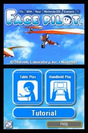 Face Pilot: Fly With Your Nintendo DSi Camera! screenshot