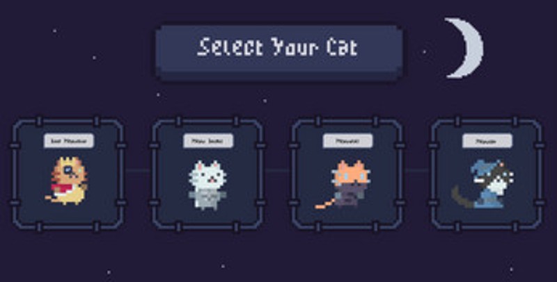 Cat Night Image