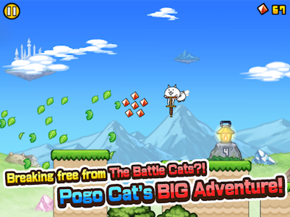 Go! Go! Pogo Cat Image
