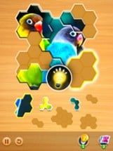 Jigsaw Puzzles Hexa Ⓞ Image