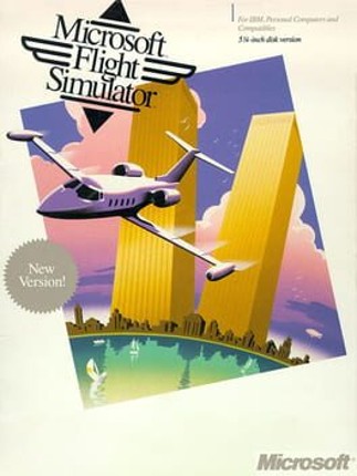 Microsoft Flight Simulator 3.0 Image