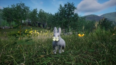 Rabbit Meadow Image