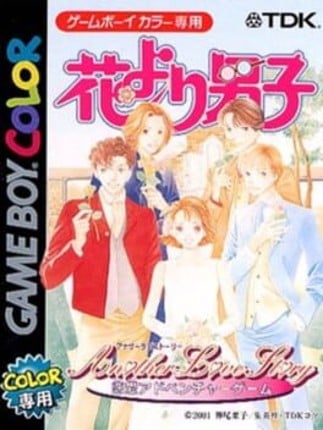 Hana Yori Dango: Another Love Story Game Cover