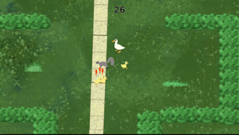 Ducklinks Image