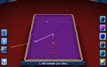 Pro Snooker &amp; Pool 2024 Image