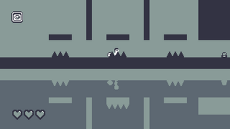 Project Mirror Image