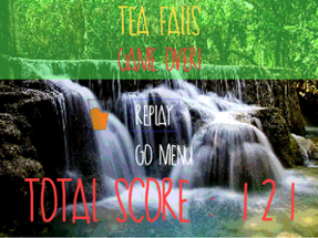 Tea Falls Image