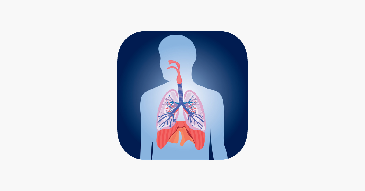 Games like Respiratory System Quizzes