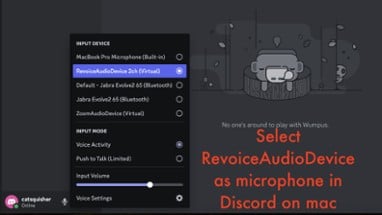 RevoiceLive Image