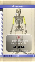 Speed Bones Lite (Quiz) Image