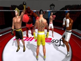 Boxing 3D Fight Game Image