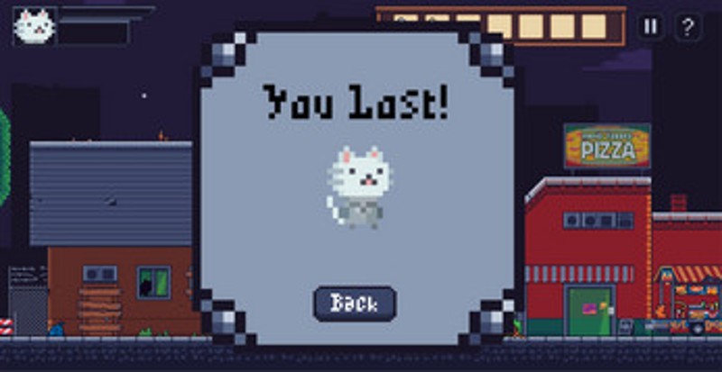 Cat Night Image