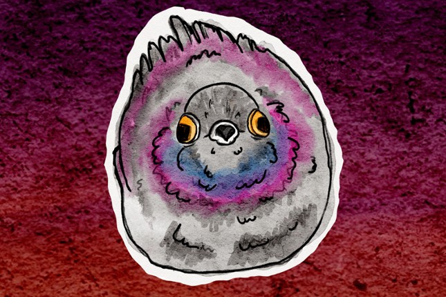 I'm In The Forest With My Dad And The Frogs Are Watching Image